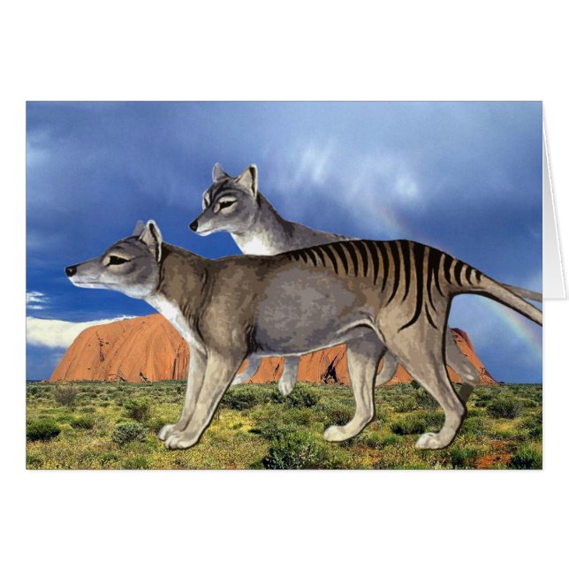 Tasmanian Tiger Card (Front Horizontal)