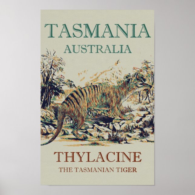 Tasmanian tiger, the thylacine, Tasmania Australia Poster (Front)