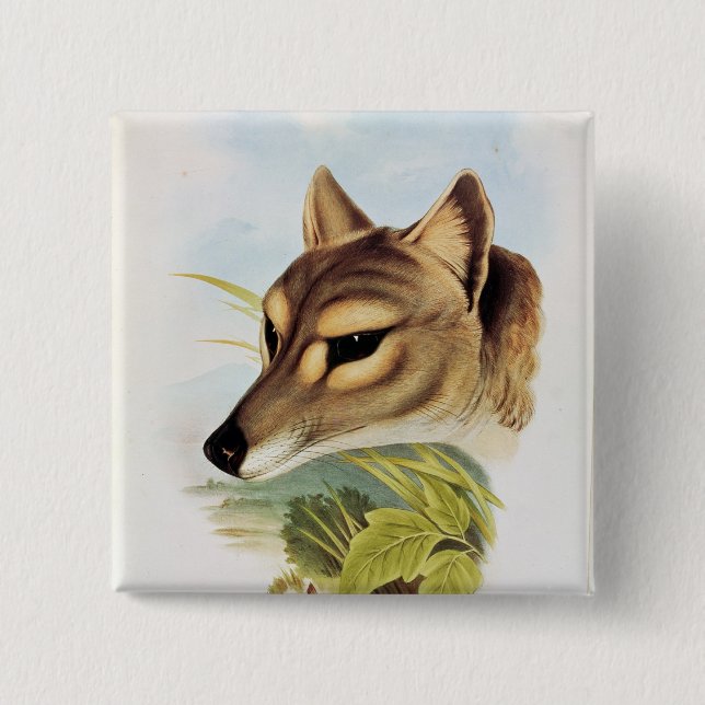 Tasmanian Wolf or Tiger 15 Cm Square Badge (Front)