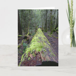 Tassie Tree Card