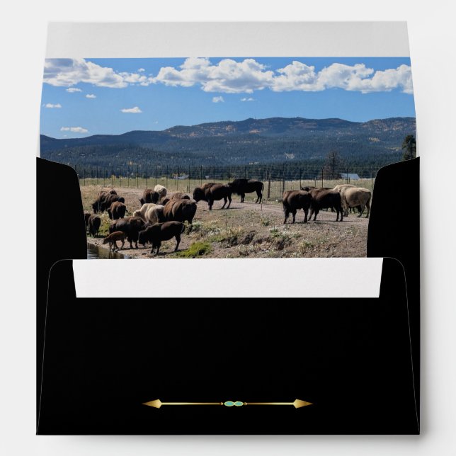 Tatanka Bison Yellowstone EMPRanch Invite Envelope (Back (Bottom))