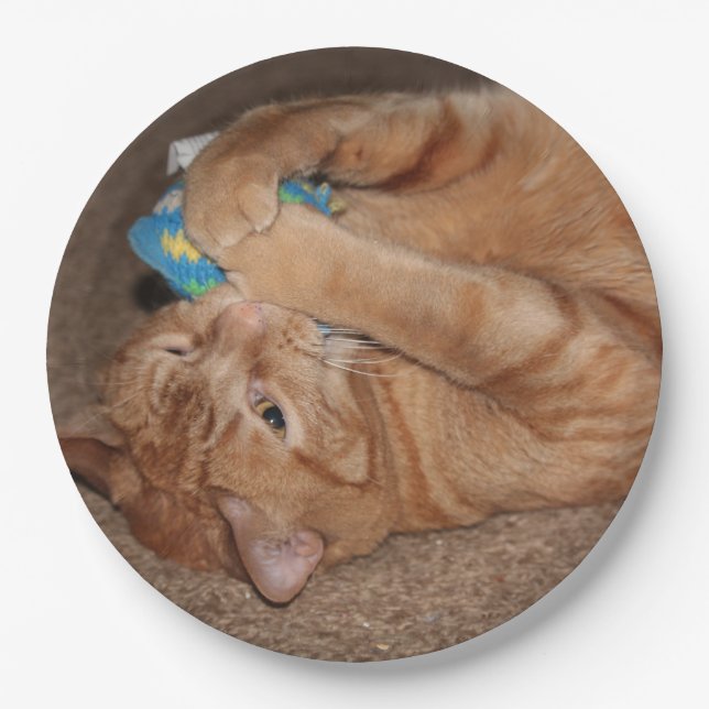 Tater Paper Plate (Front)