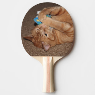 Tater Ping Pong Paddle