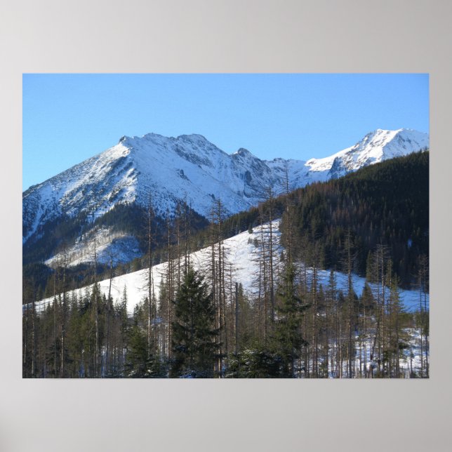 Tatras in winter poster (Front)