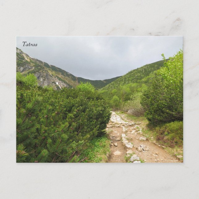 Tatras Slovakia Postcard (Front)