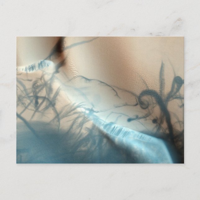 Tattooed Mars Postcard (Front)