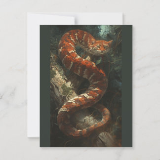 Tatzelwurm postcard