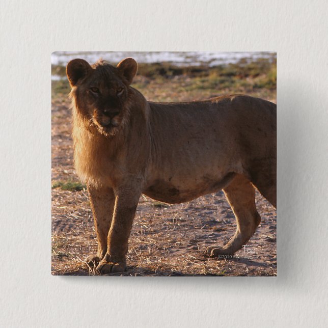 Tau, Lion, Photo 15 Cm Square Badge (Front)