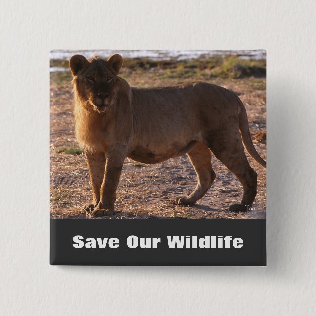 Tau Save Our Wildlife 15 Cm Square Badge (Front)