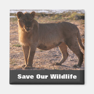 Tau Save Our Wildlife Magnet