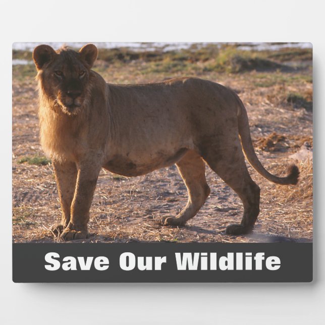 Tau Save Our Wildlife Plaque (Front)