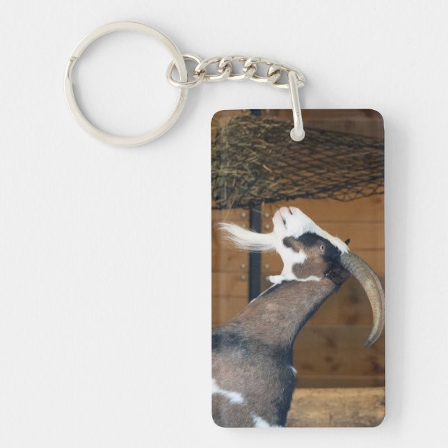 Tauernschecken-Ziege Key Ring (Front)