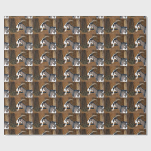 Tauernschecken-Ziege Wrapping Paper
