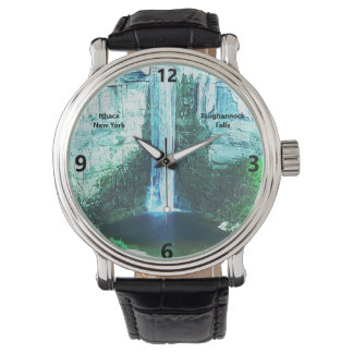 TAUGHANNOCK FALLS ITHACA WATCH