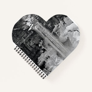 Taughannock Falls - Notebook