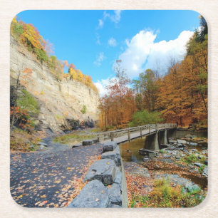 Taughannock Falls State Park Square Paper Coaster