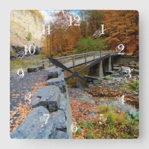 Taughannock Falls State Park Square Wall Clock