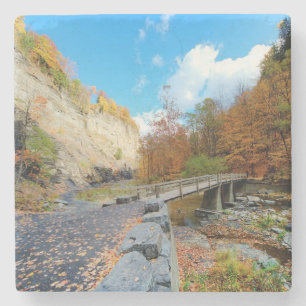 Taughannock Falls State Park Stone Coaster