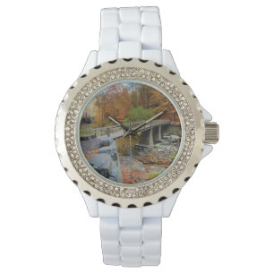 Taughannock Falls State Park Watch