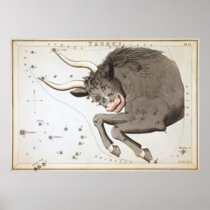 Taurus Astrological Drawing Poster