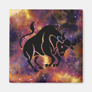 taurus bull magnet