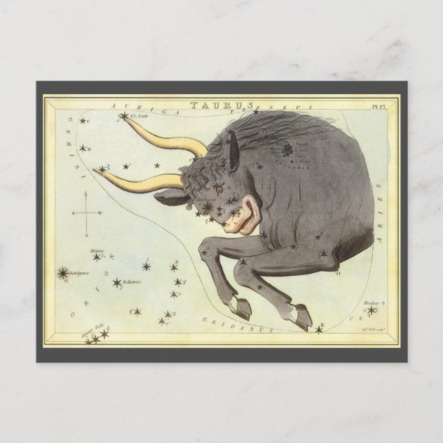 Taurus Bull, Vintage Constellation Urania's Mirror Postcard (Front)