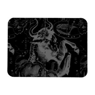 Taurus Constellation Hevelius 1690 Decor Magnet