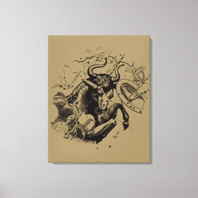 Taurus Constellation Hevelius 1690 Engraving Canvas Print (Front)