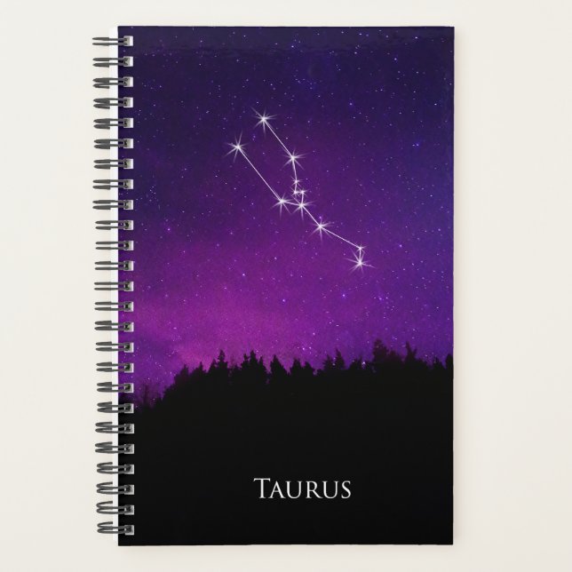 Taurus Constellation Night Sky Astrology Symbol Planner (Front)
