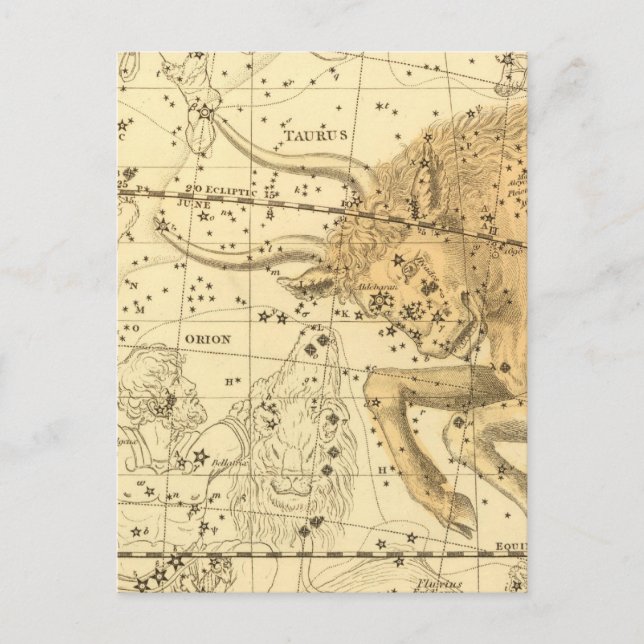 Taurus Postcard (Front)