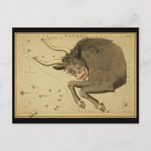 Taurus Postcard