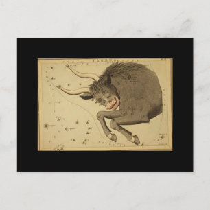Taurus Postcard