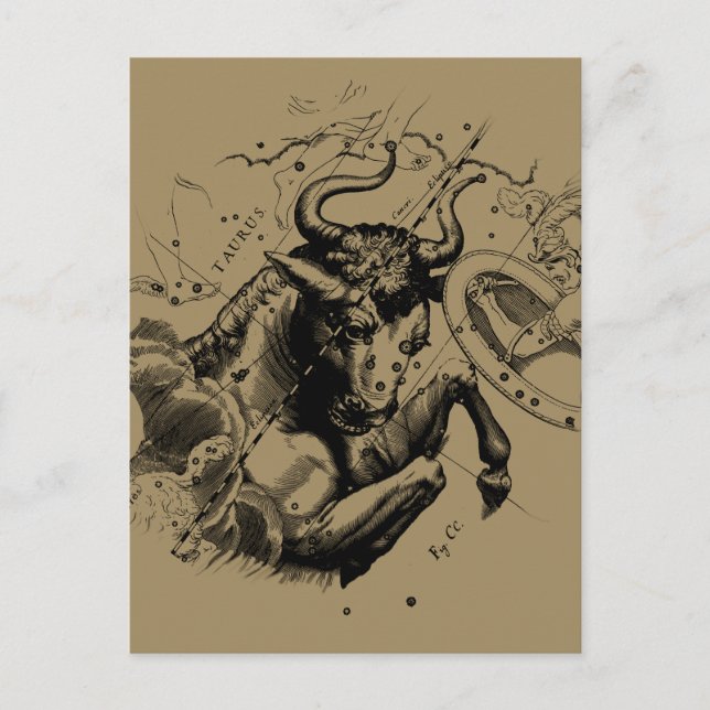 Taurus Zodiac Constellation Map Hevelius 1690 Postcard (Front)