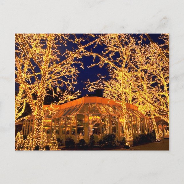 Tavern on the Green, Central Park, New York City, Postcard (Front)