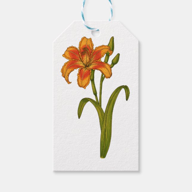 Tawny daylily gift tags (Front)
