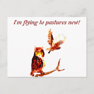 Tawny Owl Art Moving Home Postcard