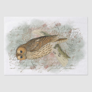 Tawny Owl Bird Pinecone French Script Decoupage Tissue Paper