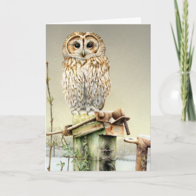 Tawny Owl in the snow fine art card (Front)