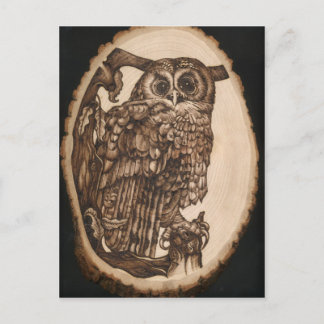 Tawny Owl Postcard
