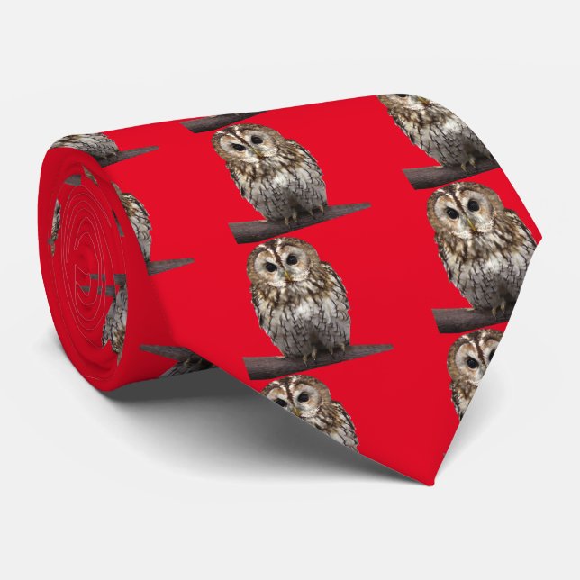 Tawny owl tie (Rolled)