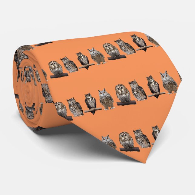Tawny Owl Tie (Rolled)
