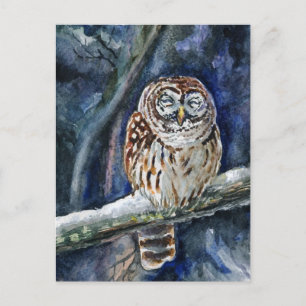 Tawny Owl watercolor painting Postcard