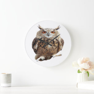 Tawny Owl with Claws           Large Clock