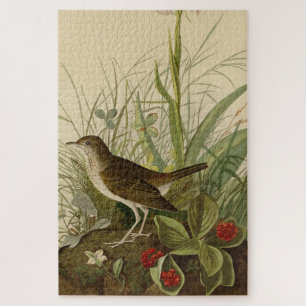 Tawny Thrush (Veery) - Audubon's Birds of America Jigsaw Puzzle