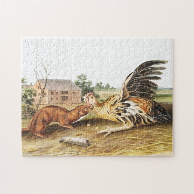 Tawny Weasel (Putorius fuscus) Illustration Jigsaw Puzzle (Horizontal)