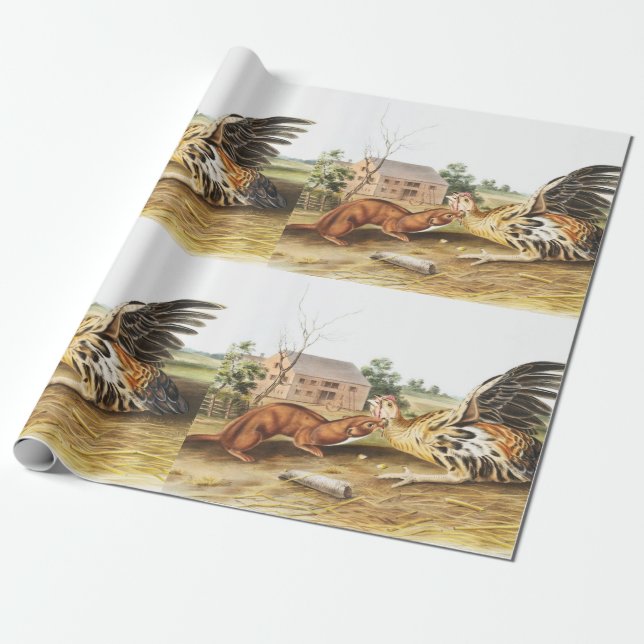 Tawny Weasel (Putorius fuscus) Illustration Wrapping Paper (Unrolled)