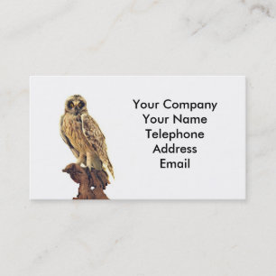 Taxidermy of an Owl Business Card