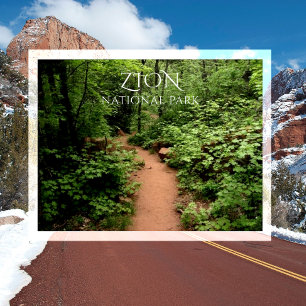 Taylor Creek Trail, Kolob Canyons, Zion NP Utah Postcard
