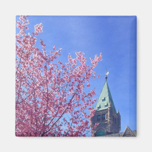 Taylor Tower in Spring, Bryn Mawr College Magnet