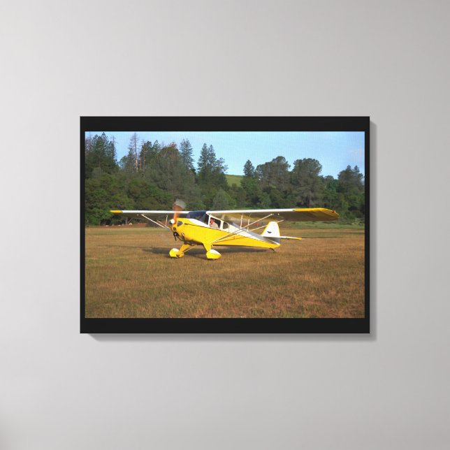 Taylorcraft, BC-12, 1941_Classic Aviation Canvas Print (Front)